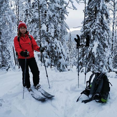 Guesthouse Koli Freetime Ahmovaara Екстериор снимка
