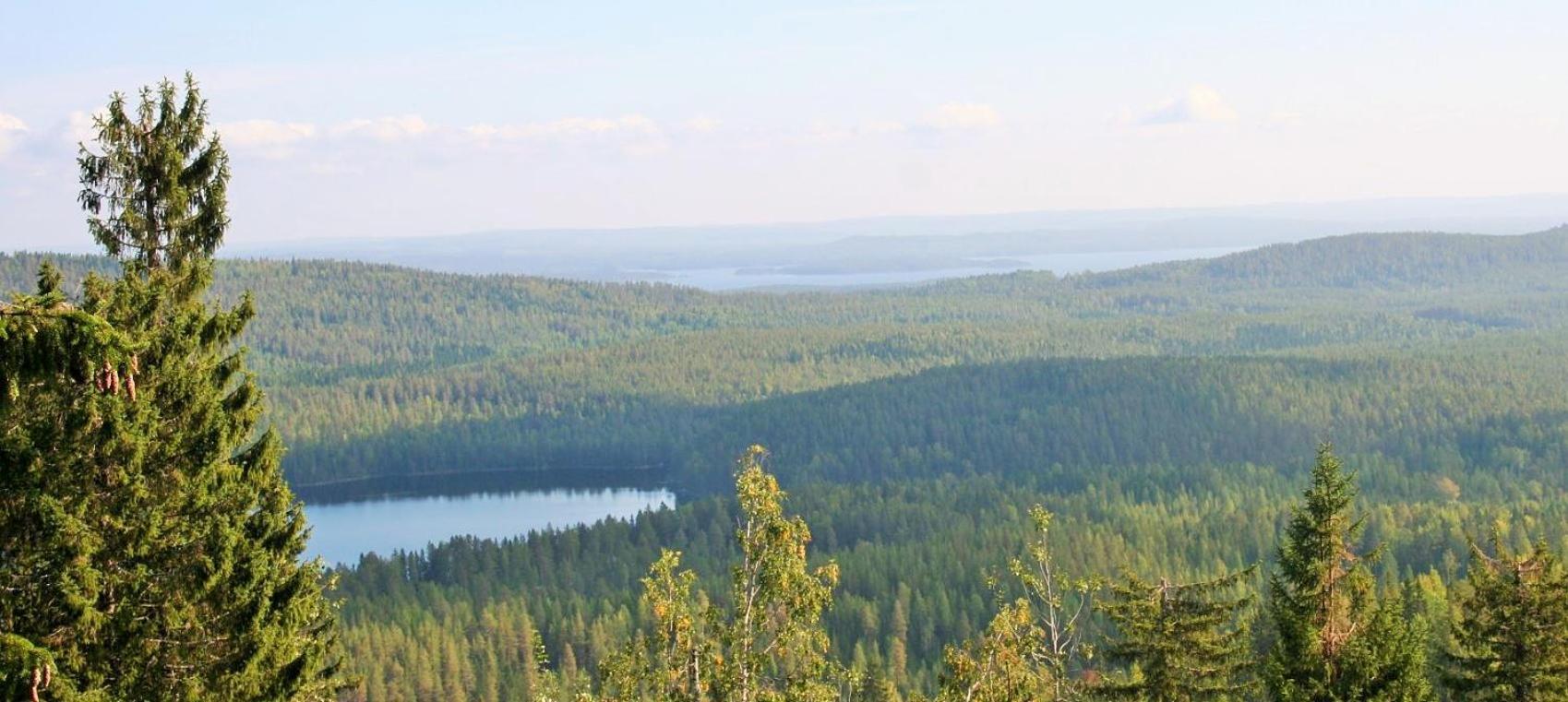 Guesthouse Koli Freetime Ahmovaara Екстериор снимка