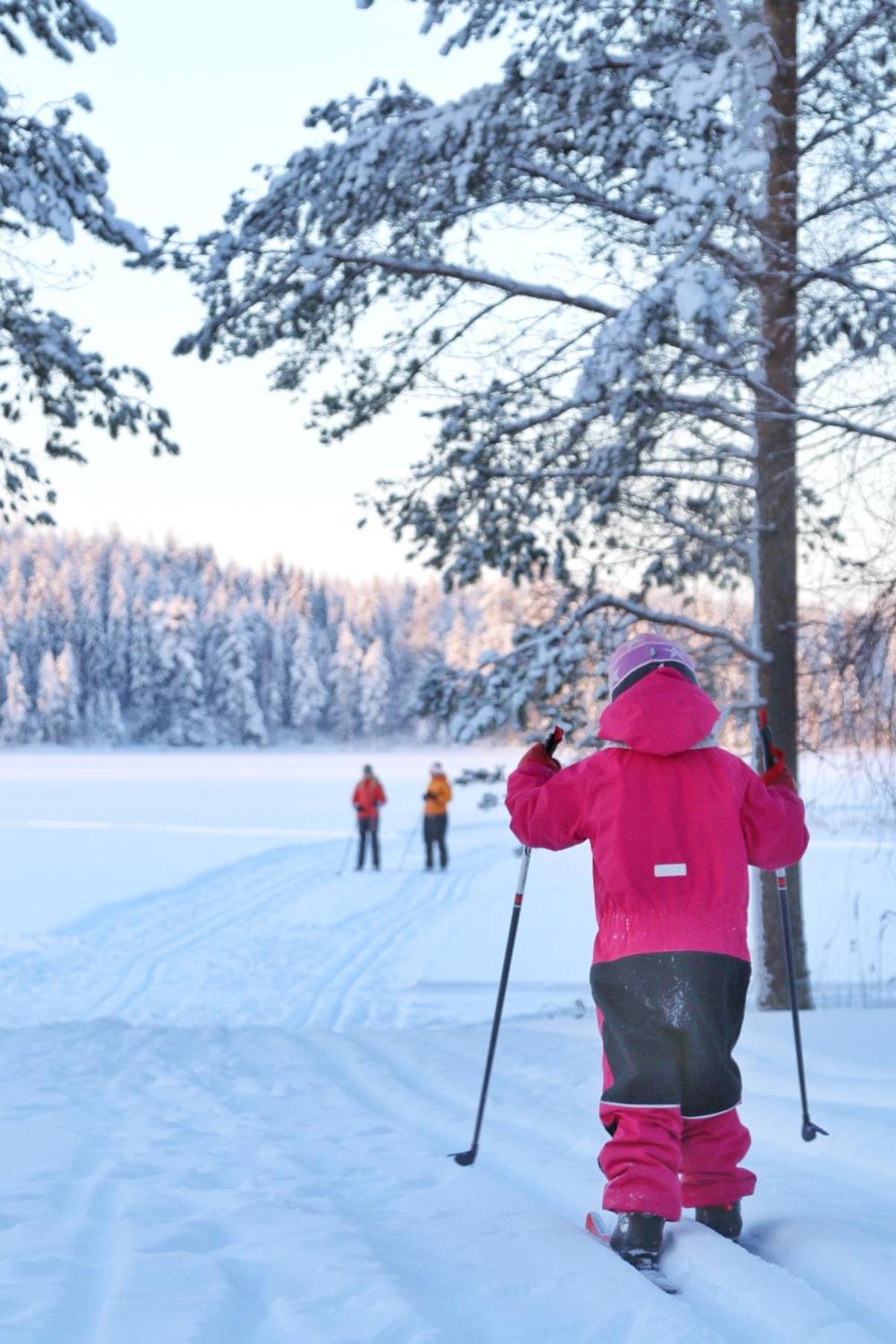 Guesthouse Koli Freetime Ahmovaara Екстериор снимка