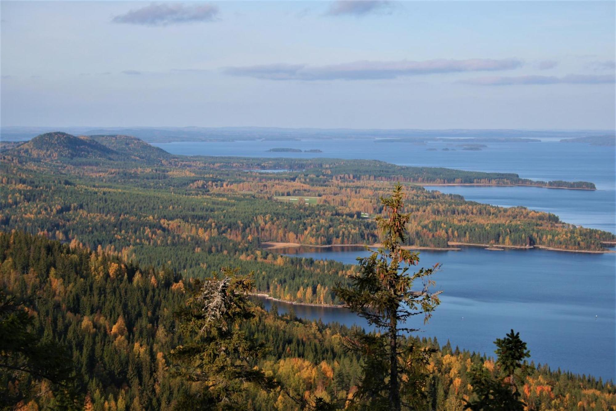 Guesthouse Koli Freetime Ahmovaara Екстериор снимка