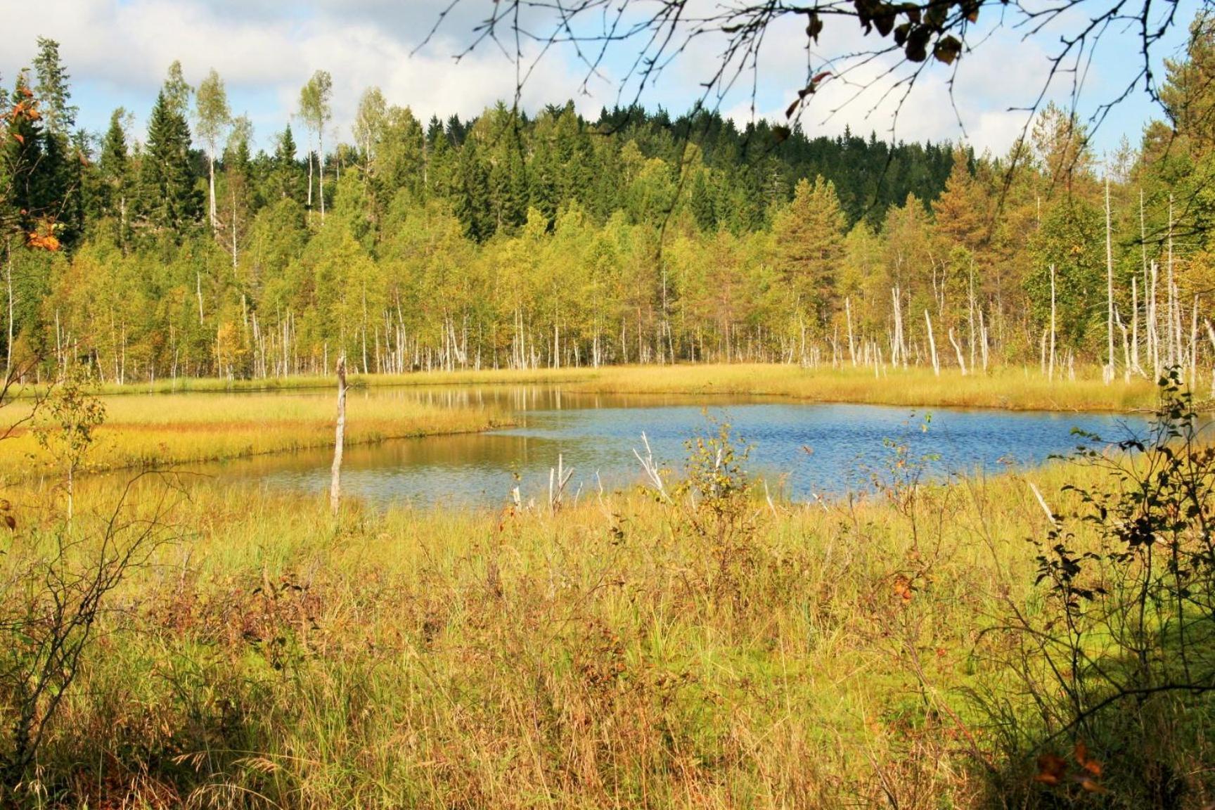 Guesthouse Koli Freetime Ahmovaara Екстериор снимка